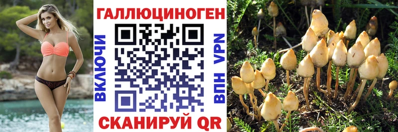 Псилоцибиновые грибы ЛСД  Руза 